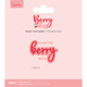 A Berry Bliss Sentiment Stamp & Die Set, manufactured by Crafter’s Companion.