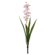 A Pink Mini Cymbidium Flower, measuring approx. 45cm.