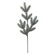 A 61cm Aspen Frost Fir Stem.