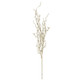 An 82cm Champagne Branch.