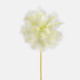 A 50cm Cream Dandelion Twig.