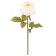 A Dry Touch Linen White Rose Stem.