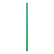 A Green Foam Noodle, measuring approx. 38mm x 1m.