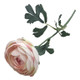 50cm Light Pink Ranunculus Flower (1)