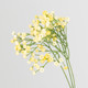 70cm Yellow Gypsophila Spray 70cm Yellow Gypsophila Spray