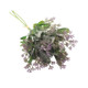 Purple Seeded Bunch, measuring 38cm. Purple Seeded Bunch, measuring 38cm.