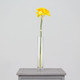 55cm Yellow Three Head Spring Daffodil Bunch (1) 55cm Yellow Three Head Spring Daffodil Bunch (1)