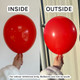 3" Standard Raspberry Red Gemar Entertainer Balloons (50)