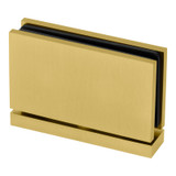 CAS01 - Glass Simple Standard Duty Top or Bottom Mount Pivot Hinge