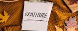 Why We Should Be Thankful for Our Bathrooms