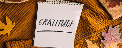 Why We Should Be Thankful for Our Bathrooms