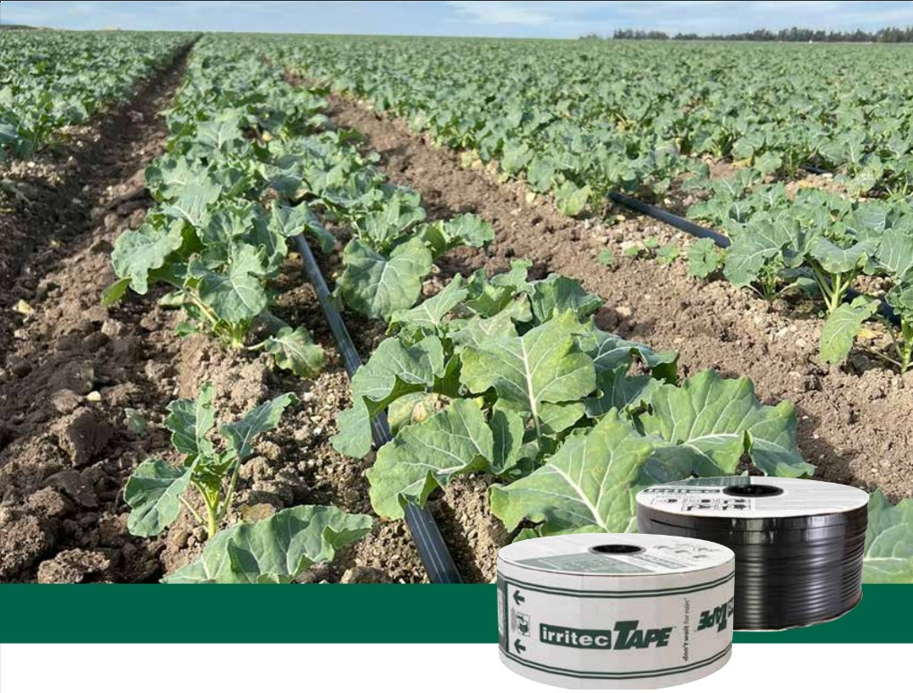 5/8-Inch Drip Tape for Irrigation | Pro-Tect