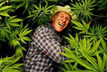 Indoor Grow Room Supplies List