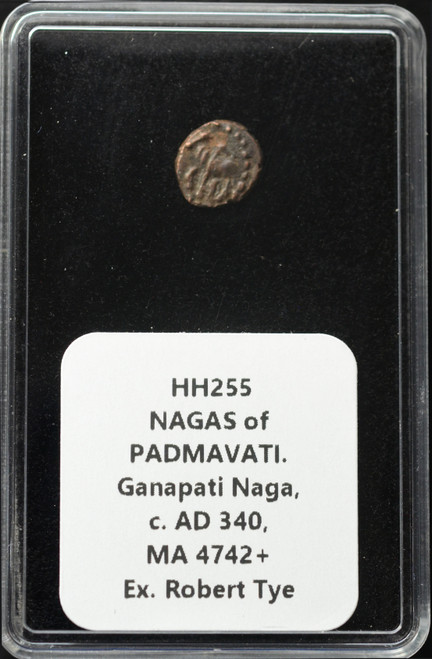 India – Nagas of Padmavati Ganapati Naga (c. AD 340) Copper Coin – MA 4742+ Ex. Robert Tye Collection