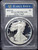 2022-W Proof Silver Eagle — PCGS PR70DCAM (Early Releases, Navy Blue Label) with Milk Spots