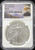 2015 American Silver Eagle $1 – NGC MS70 First Releases (Top Pop)