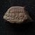Dutch East Indies – Java Copper Bonk – ½ Stuiver KM-180 Type – c. Late 18th/Early 19th Century