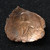 Byzantine Empire AE/BI Trachy – Curved Cup-Shaped Coin 12th–14th Century