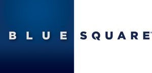 GalaxyBrite 100ft Cable w/ Plug  |  GBC100