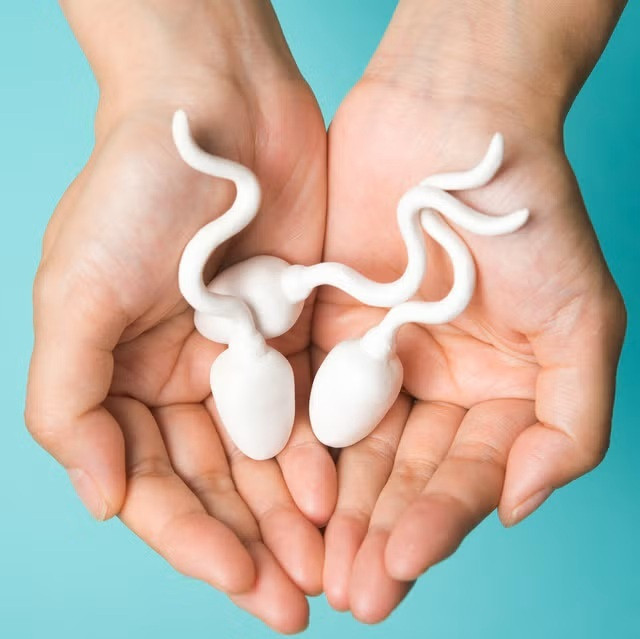 Semen Enhancers