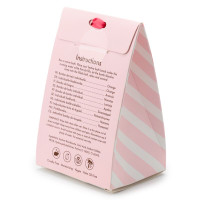 Christmas Pusheen Cat Clementine Bath Bomb