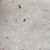 Clarity Blend Himalayan Bath Salts with Rosemary & Clary Sage 500g