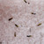 Relax Blend Himalayan Bath Salts with Lavender & Jojoba 500g