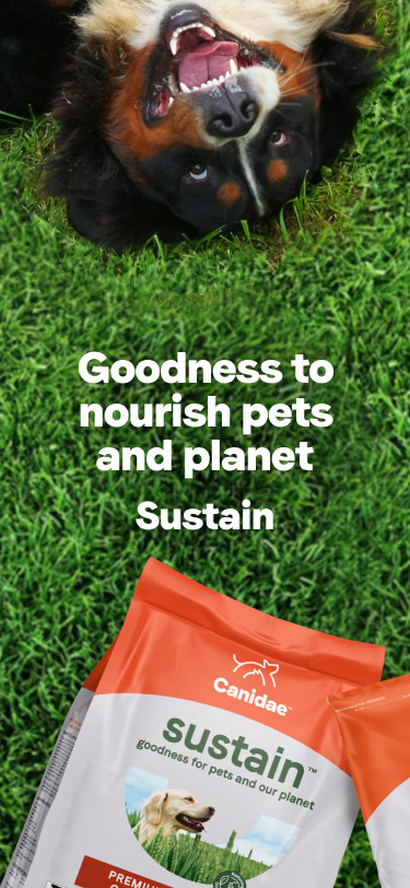 canidae sustain dog food