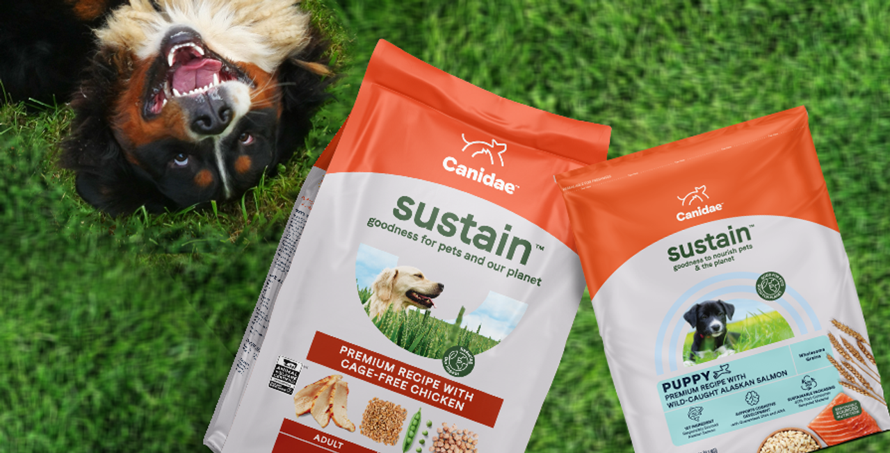 buy canidae dog food