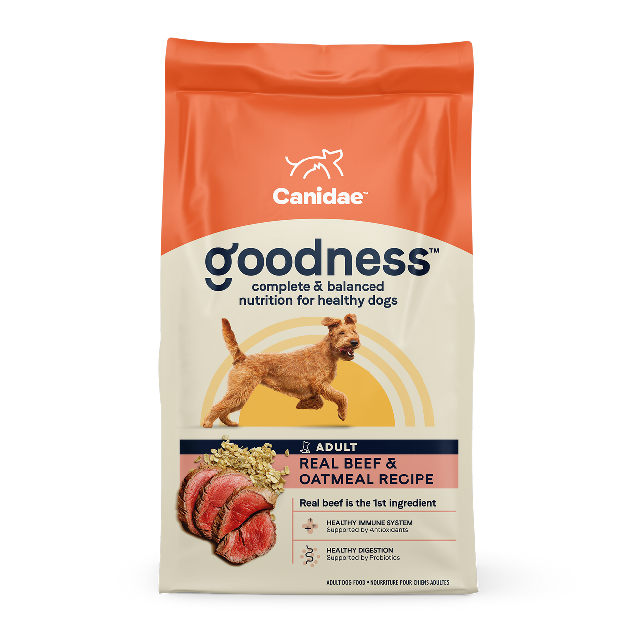 Goodness Dry Dog Food Real Salmon & Brown Rice