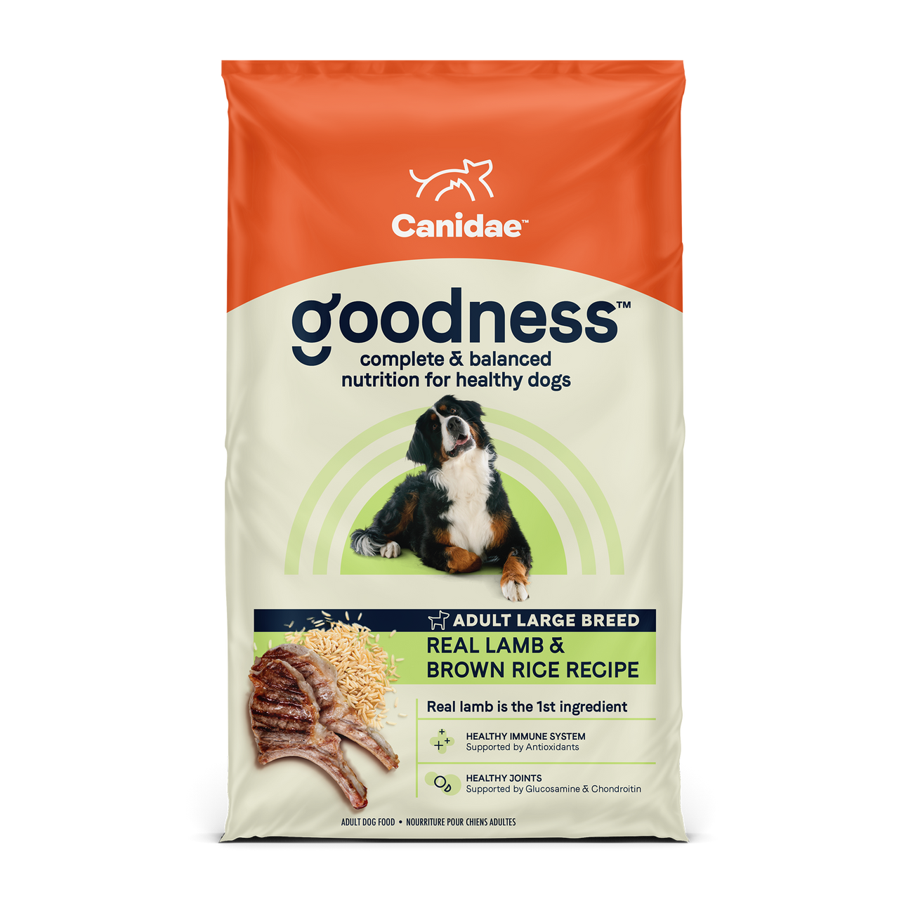 Goodness Dry Dog Food Real Salmon & Brown Rice