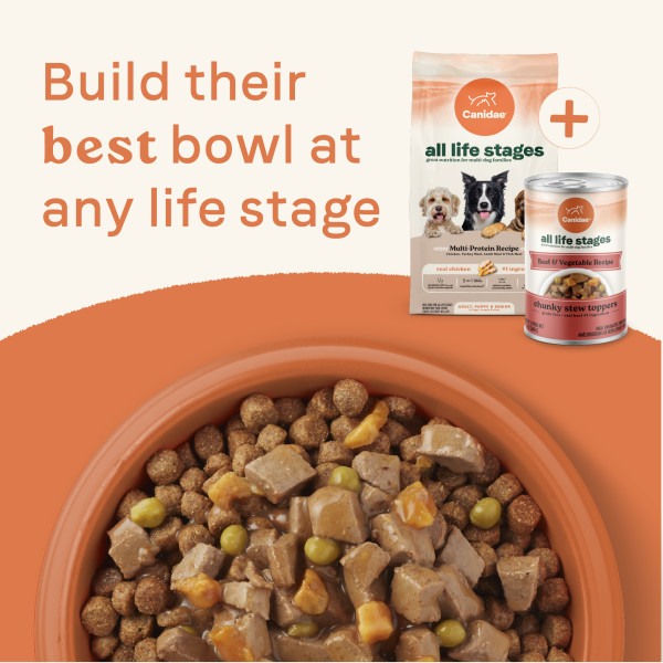 4health canned dog food ingredients 4health with Wholesome Grains Salmon & Potato Dinner Canned Dog Food, 13.2 oz