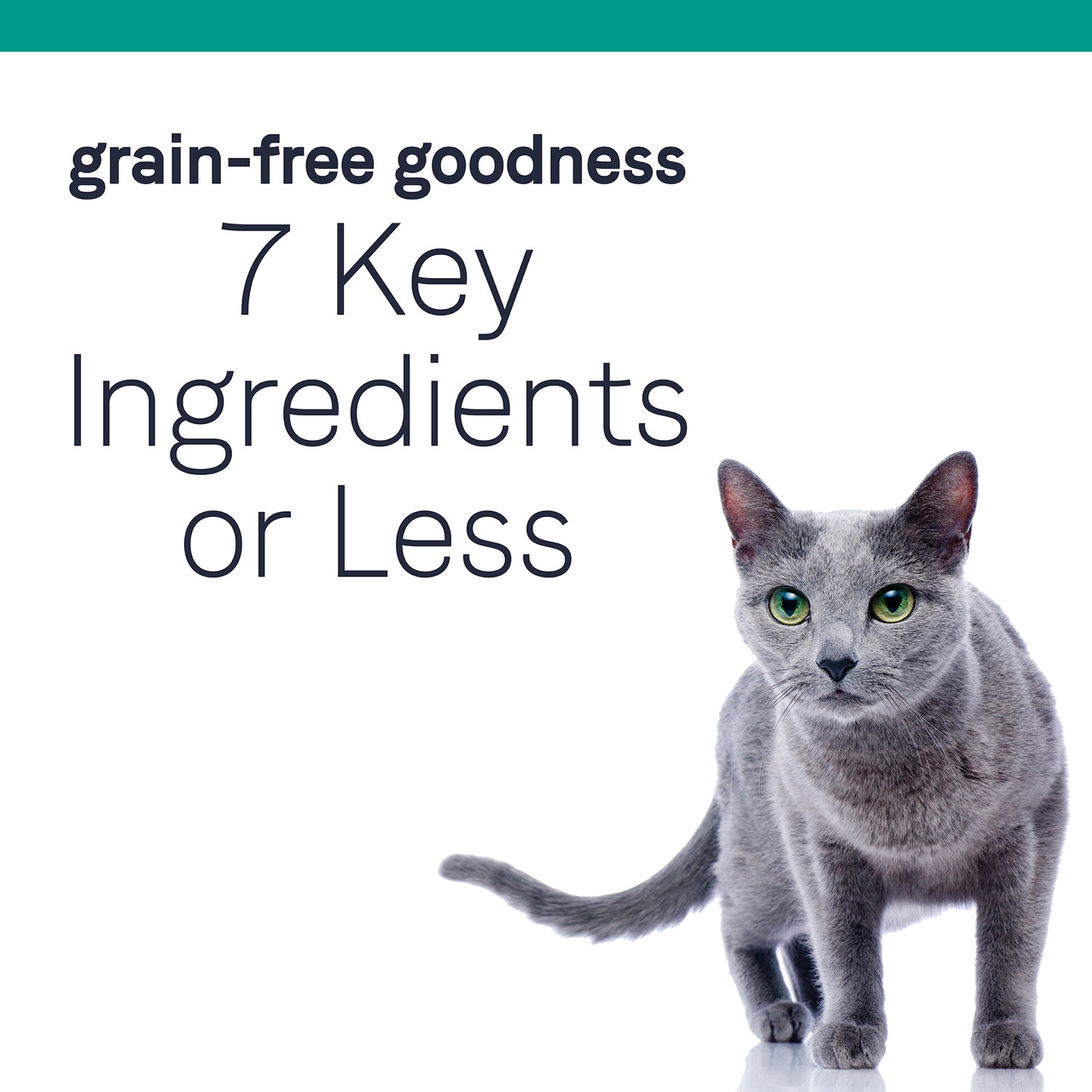 PURE Dry Cat Food Grain Free Chicken Recipe Canidae