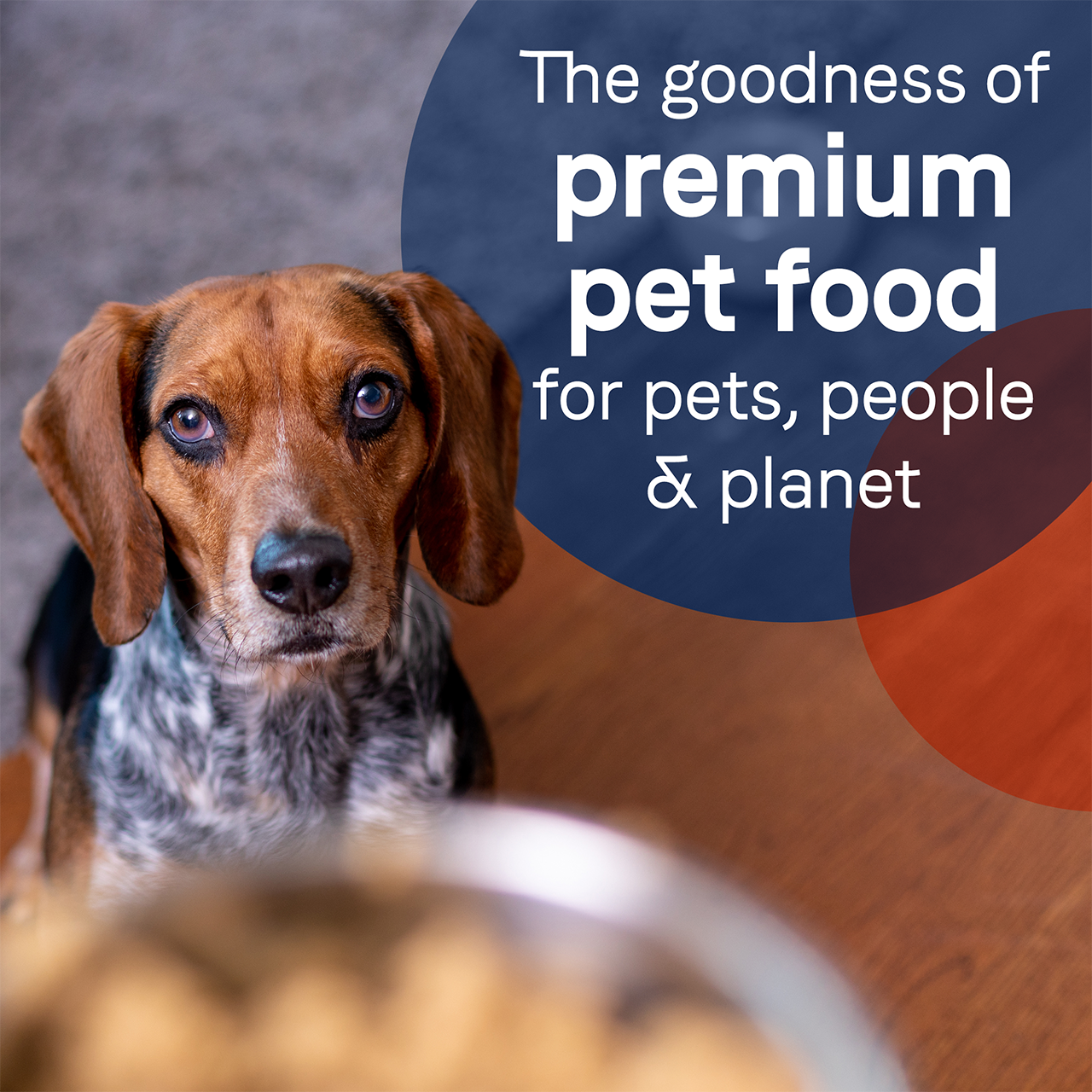 Picture of Pure Wet Dog Food, Lamb, Turkey & Chicken Grain Free Recipe - Canidae