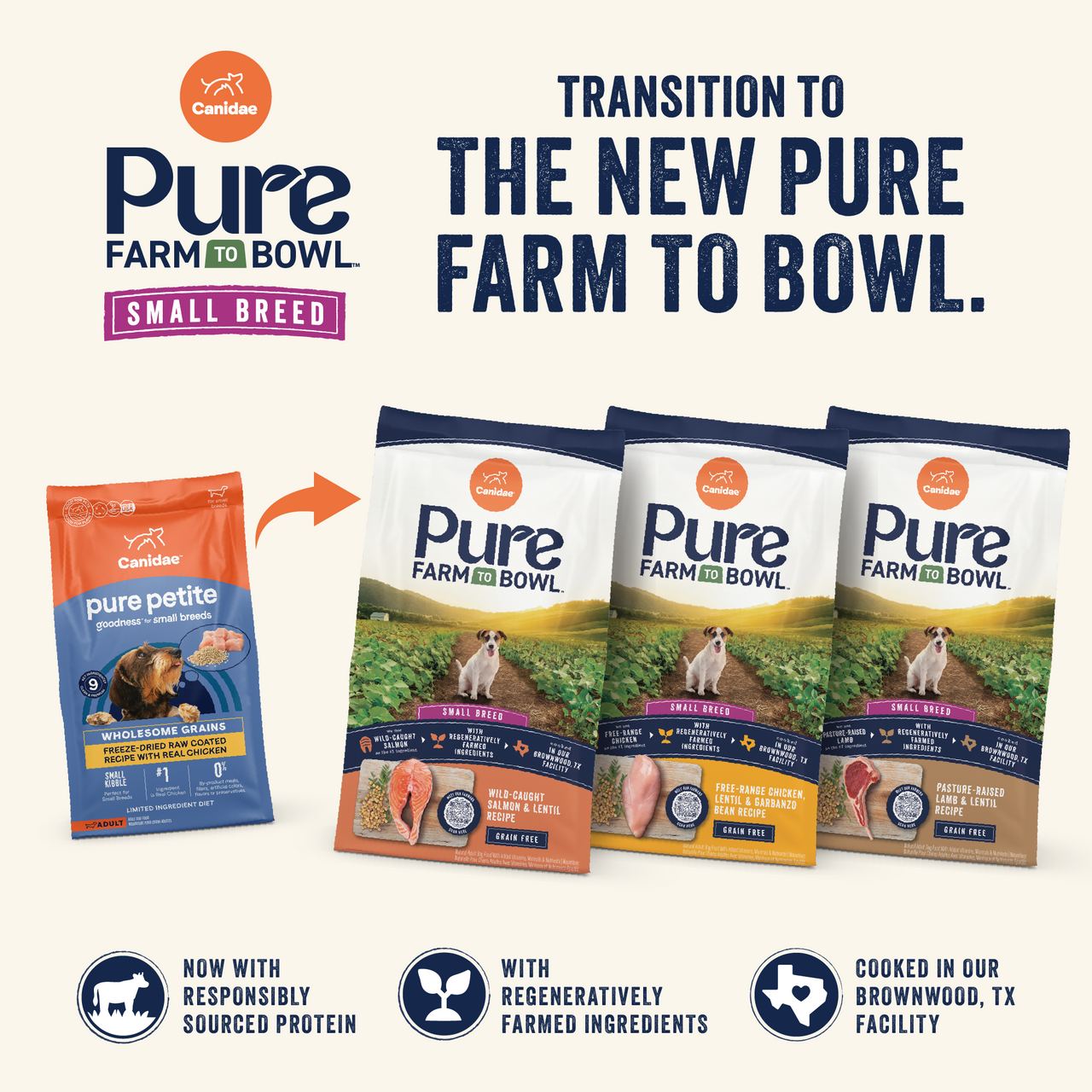 Pure Petite Dry Dog Food for Small Breeds, Chicken & Wholesome Grains