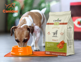 What’s the Best Pet Food for My Dog? Canidae CA-30 Real Salmon vs. Fromm Four-Star Salmon 