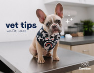 New Puppy Check-list With Dr. Laura