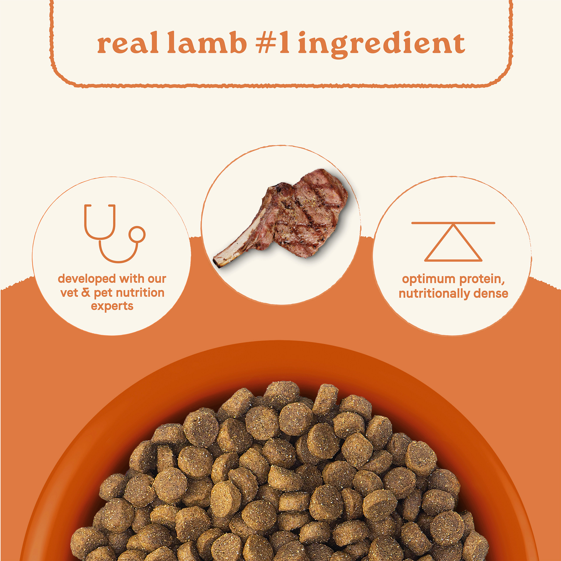 Snapshot of All Life Stages Dry Dog Food Real Lamb And Ancient Grains Recipe