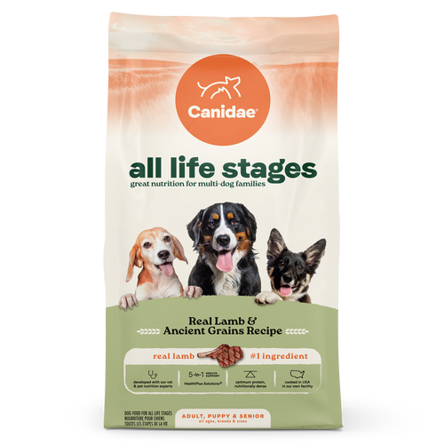 All Life Stages Dry Dog Food Real Lamb & Ancient Grains Recipe​  ​