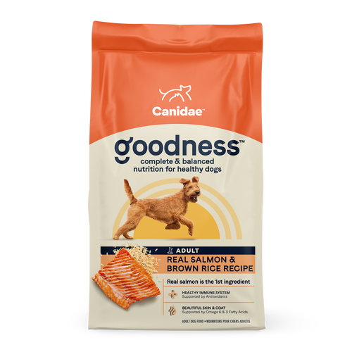 Goodness Dry Dog Food: Real Salmon & Brown Rice