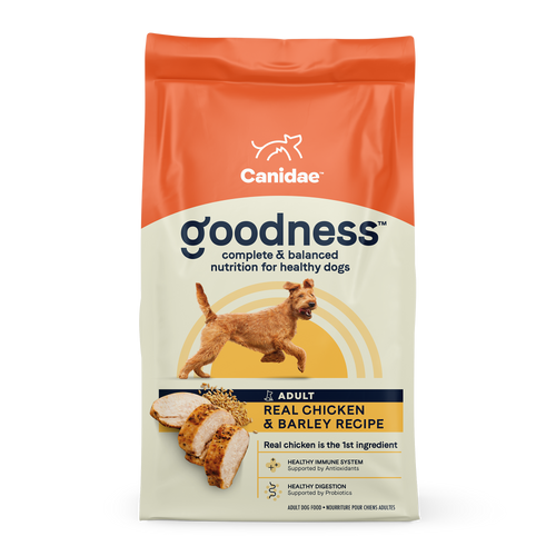 Goodness  Dry Dog Food: Real Chicken & Barley