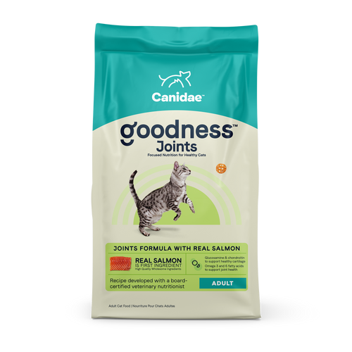 Goodness for Joints: Dry Cat Food with Real Salmon