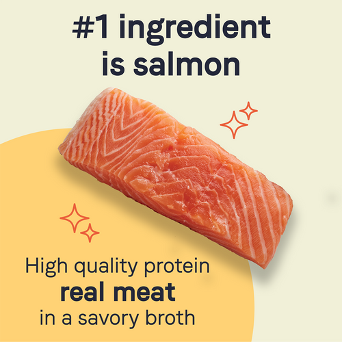 PURE Grain Free Wet Dog Food Salmon and Sweet Potato Recipe - Canidae