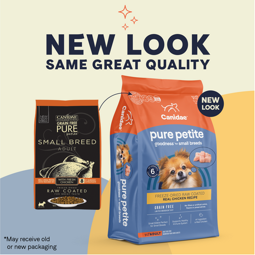 PURE Petite Dry Dog Food: Grain Free Chicken Recipe for Small Breed Dogs