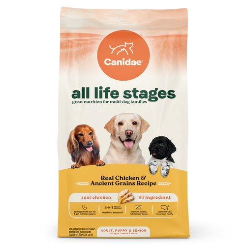 All Life Stages Dry Dog Food Real Chicken & Ancient Grains Recipe