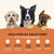 All Life Stages Dry Dog Food Real Lamb & Ancient Grains Recipe​  ​