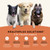 All Life Stages High Protein Dry Dog Food, Salmon & Ancient Grains Recipe