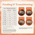 All Life Stages High Protein Dry Dog Food, Salmon & Ancient Grains Recipe