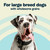 All Life Stages Large Breed Dry Dog Food: Turkey Meal and Brown Rice