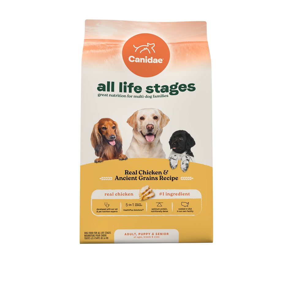 Mesmerizing Best All Life Stage Dog Food Scene in 4K